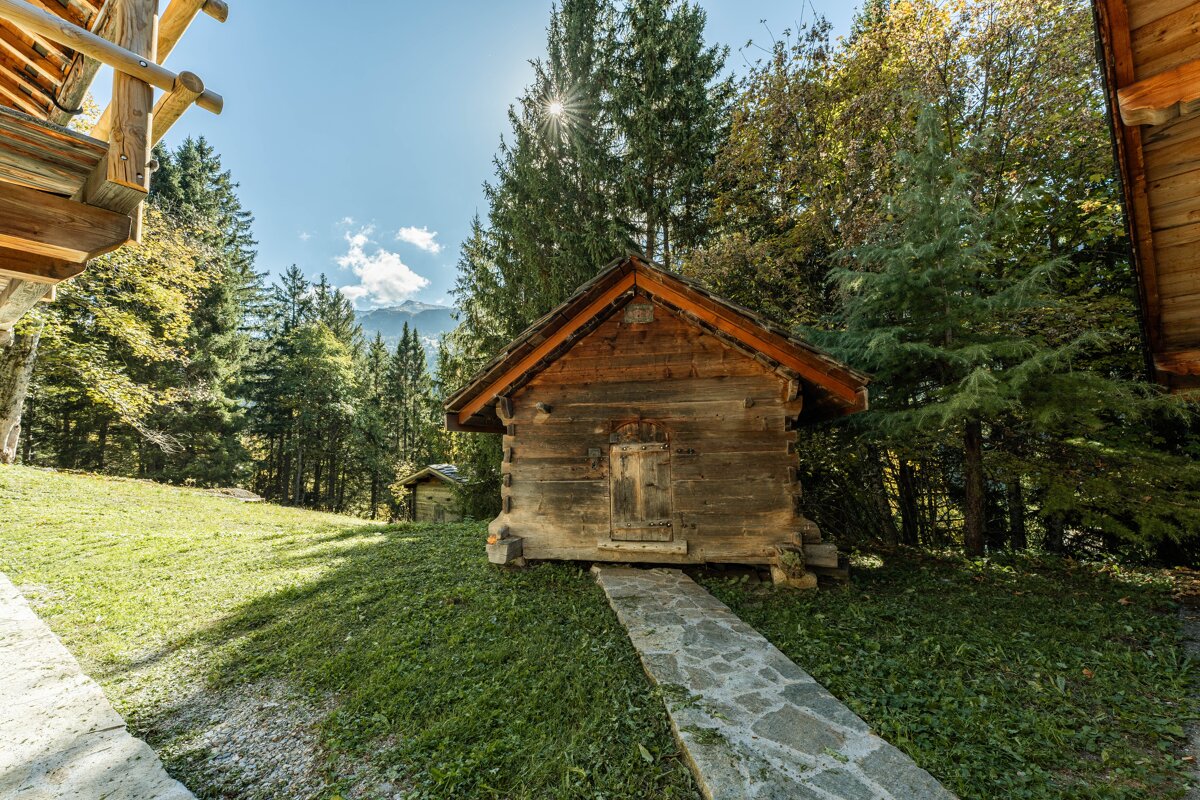 A sun-drenched wooden cabin stands on a grassy hill in a forest. A stone path leads to its door, with distant mountains under a blue sky.