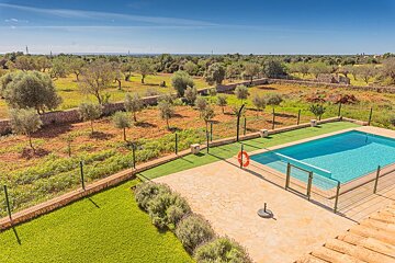 A large swimming pool surrounded by trees and grass