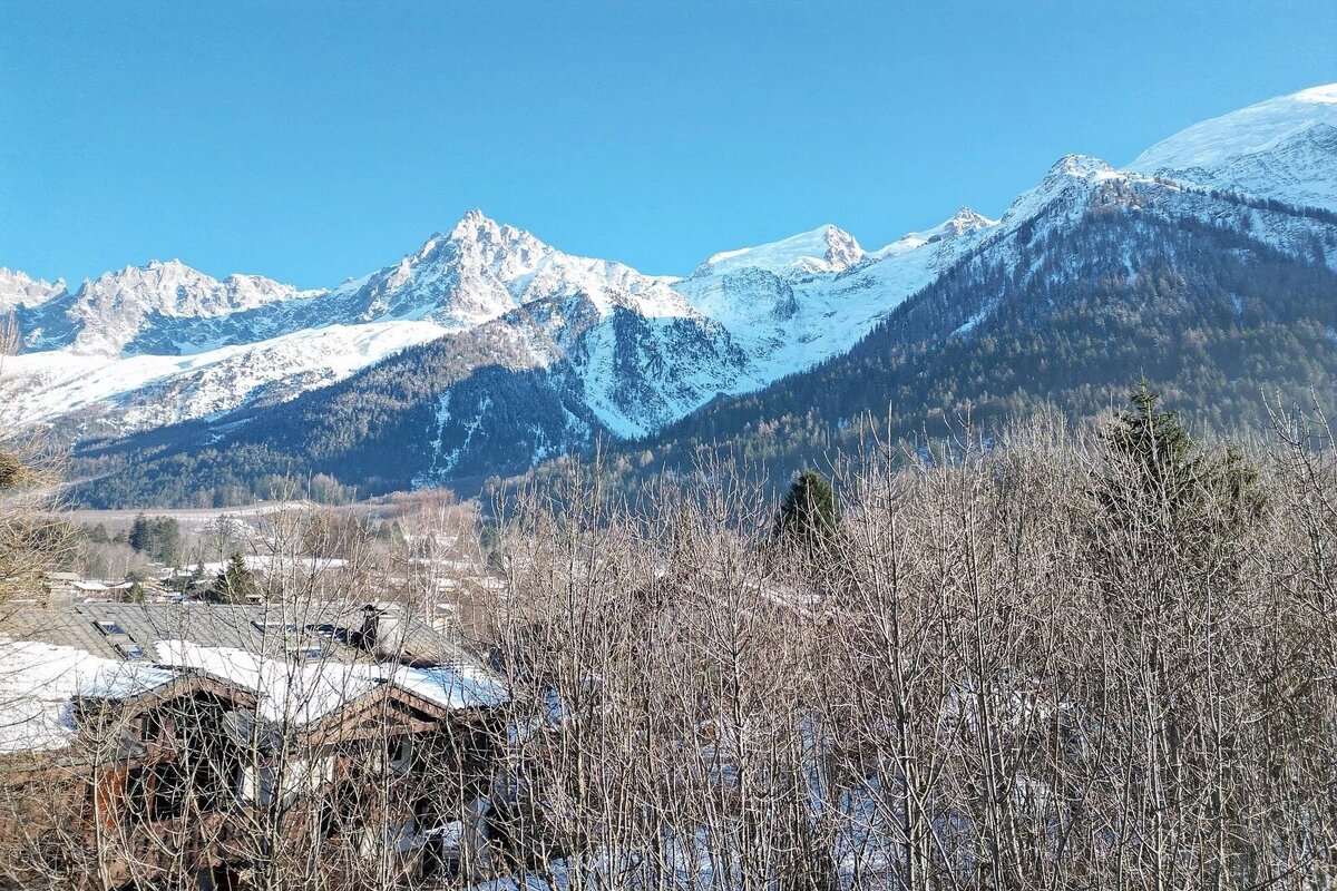 Snow-capped mountains tower under a clear blue sky, with a village nestled among bare winter trees and forested slopes in the valley.