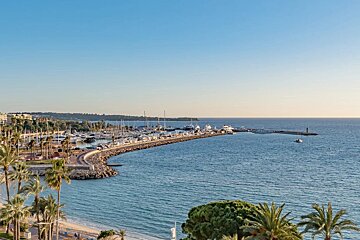 A high-angle view of a harbor filled with boats under a clear blue sky, framed by palm trees in the foreground.