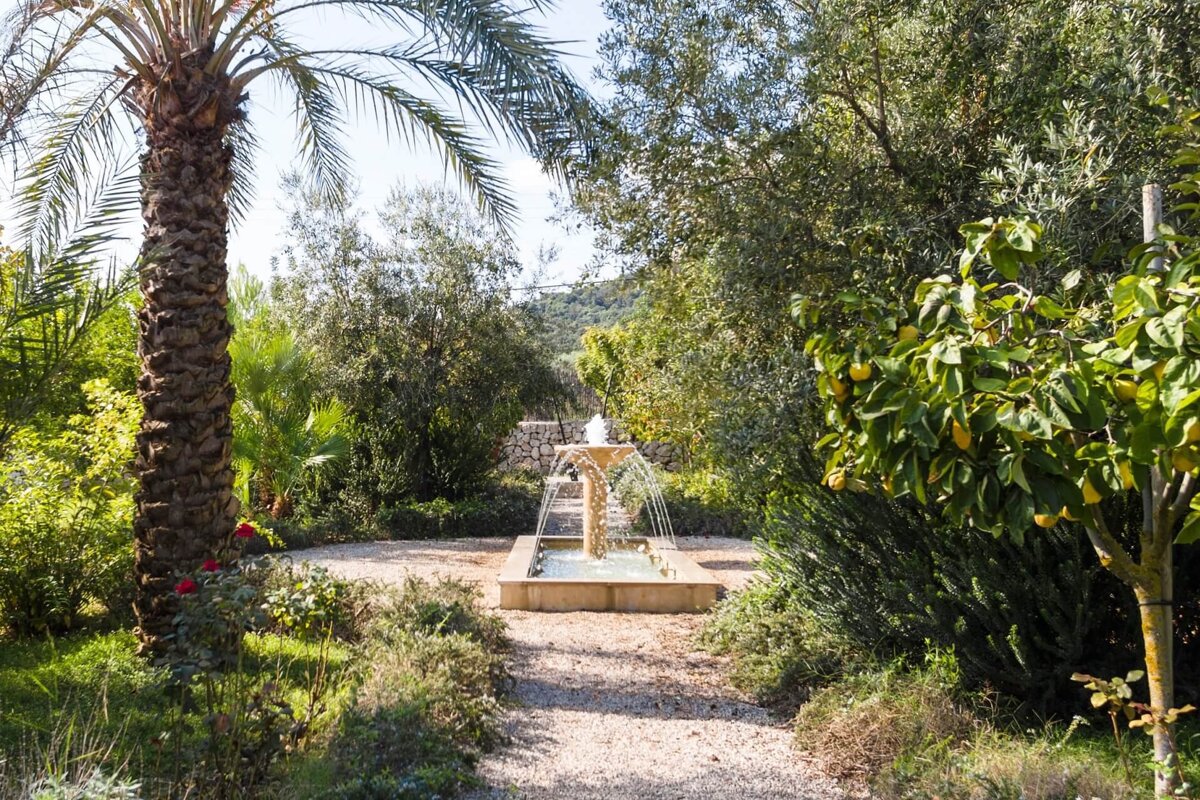 A fountain in the middle of a lush green garden