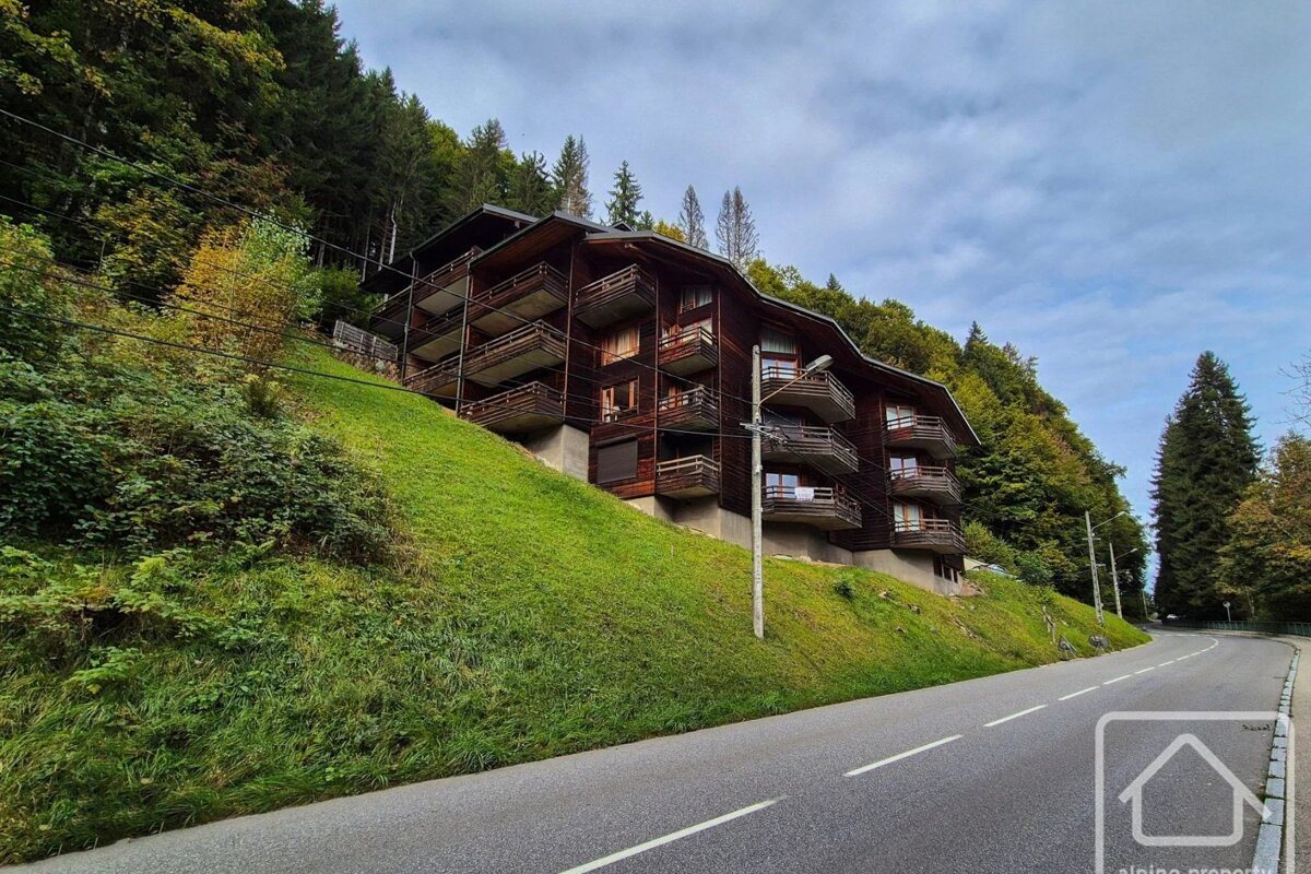 A large wooden chalet building on a steep grassy hillside next to a winding road, surrounded by dense forest.