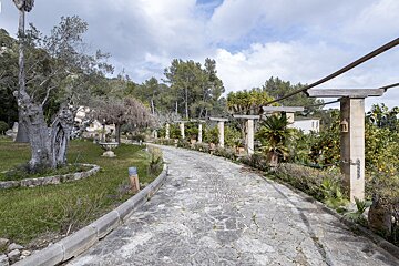 A stone walkway is surrounded by trees and bushes