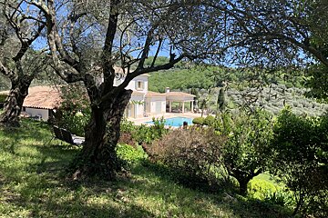 A house with a swimming pool is surrounded by trees