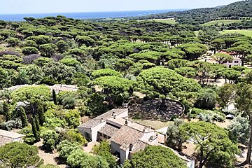 An aerial view of a house in the middle of a forest