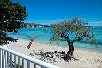 A view of a beach from a balcony with a tree in the foreground