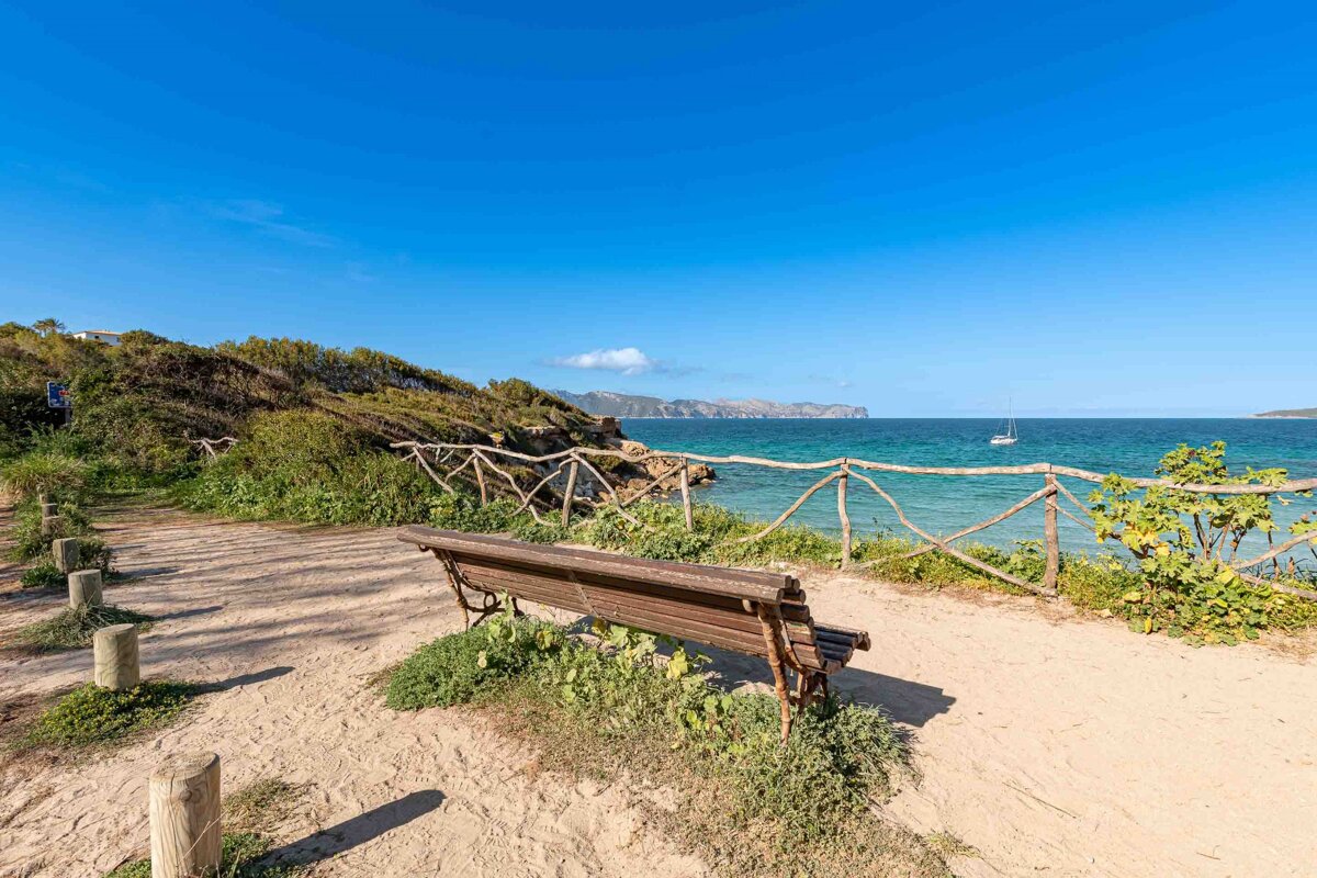 A wooden bench sits on a sandy beach overlooking the ocean