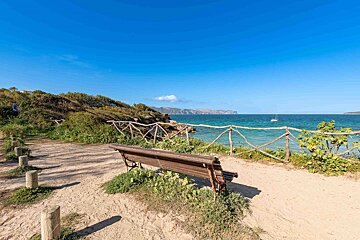 A wooden bench sits on a sandy beach overlooking the ocean