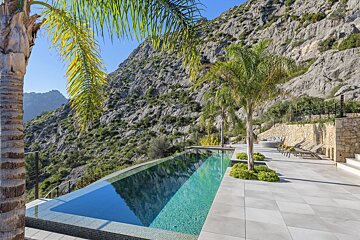 A swimming pool surrounded by palm trees and mountains
