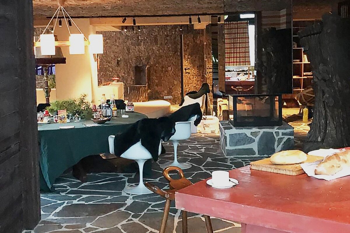 A cozy, rustic interior featuring stone walls, a fireplace, and a dog resting by a green-draped table. Bread sits on a red counter.
