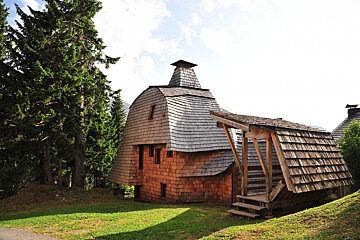 A house with a wooden roof is surrounded by trees