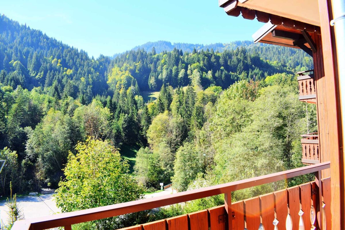 View from a wooden balcony overlooking a vast, dense green forest covering rolling mountains under a bright blue sky.