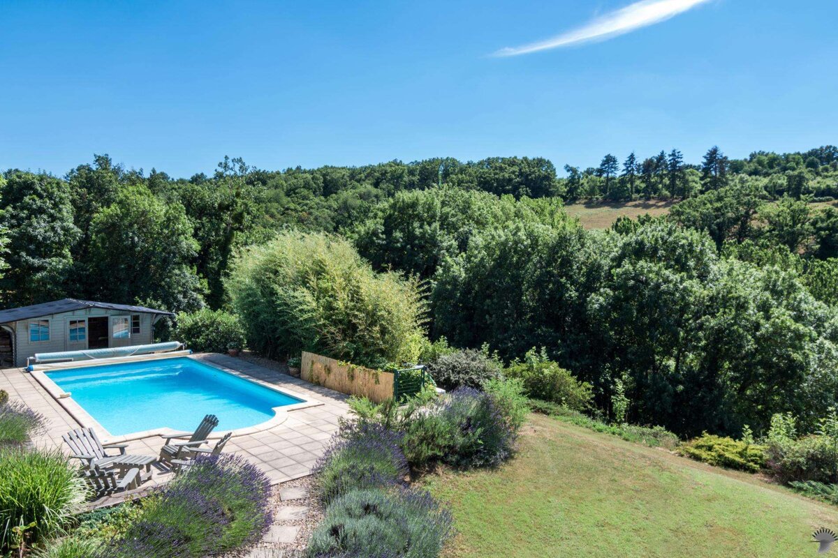 A large swimming pool is surrounded by a lush green forest