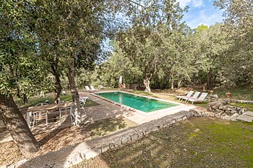 A large swimming pool surrounded by trees and chairs