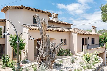 A large house with a tree in front of it