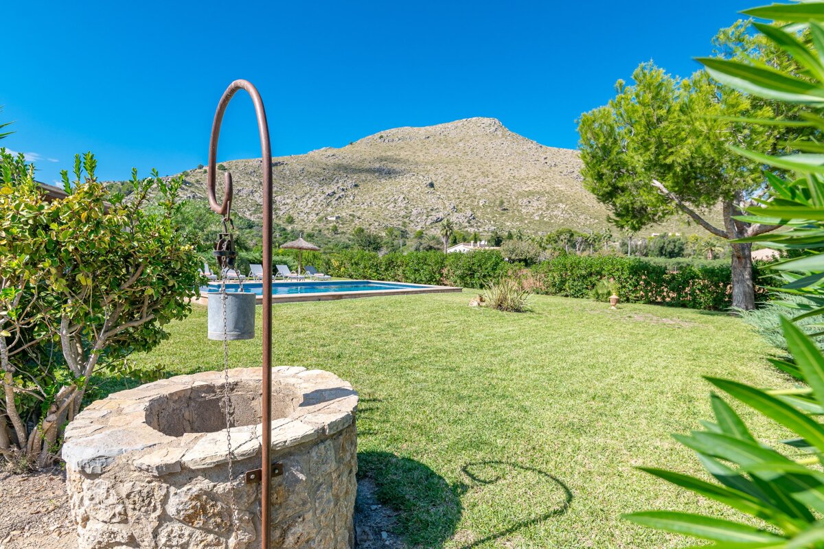 A well in a lush green yard with a mountain in the background