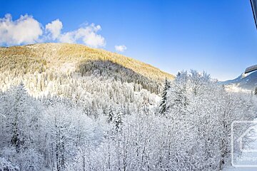 Bright winter mountain landscape with snow-covered trees and a sunlit peak under a clear blue sky.