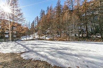 A sunny winter scene with a snow-covered field, bare trees on a hillside, and bright sun rays with shadows stretching across the snow.