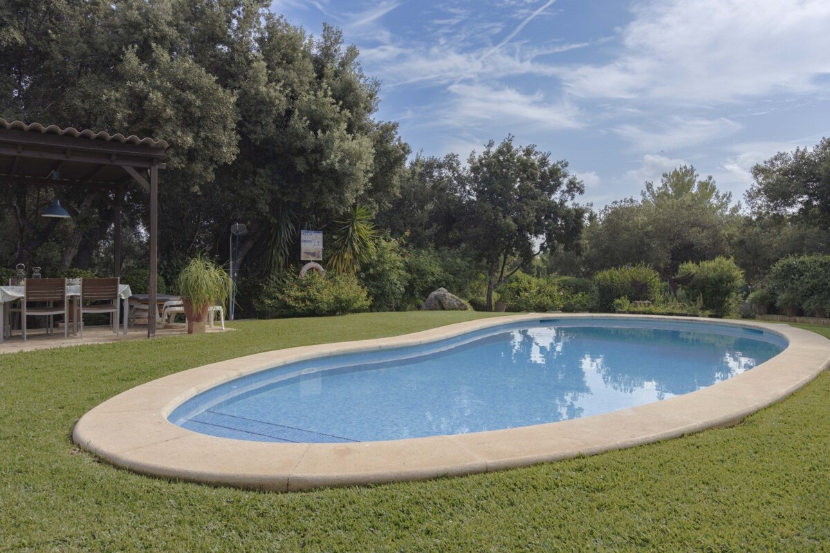 A large oval swimming pool in a lush green yard