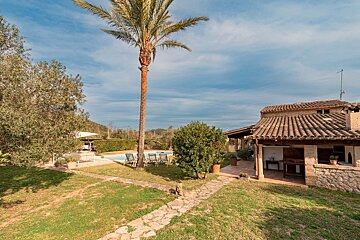 A house with a palm tree in front of it