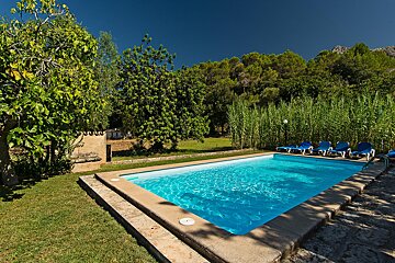 A large swimming pool surrounded by chairs and trees