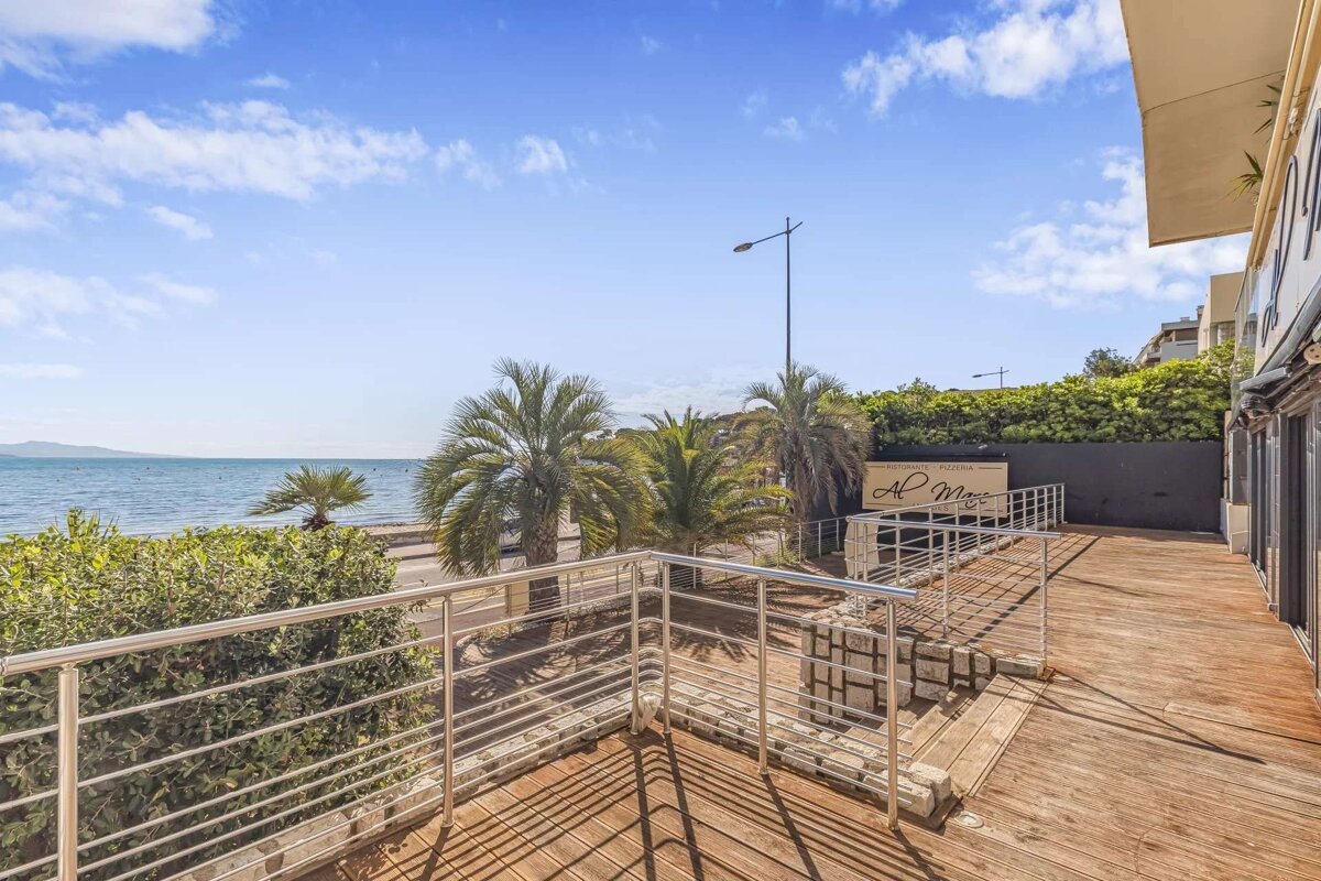 Sunny view from a wooden deck overlooking the sea, palm trees, and