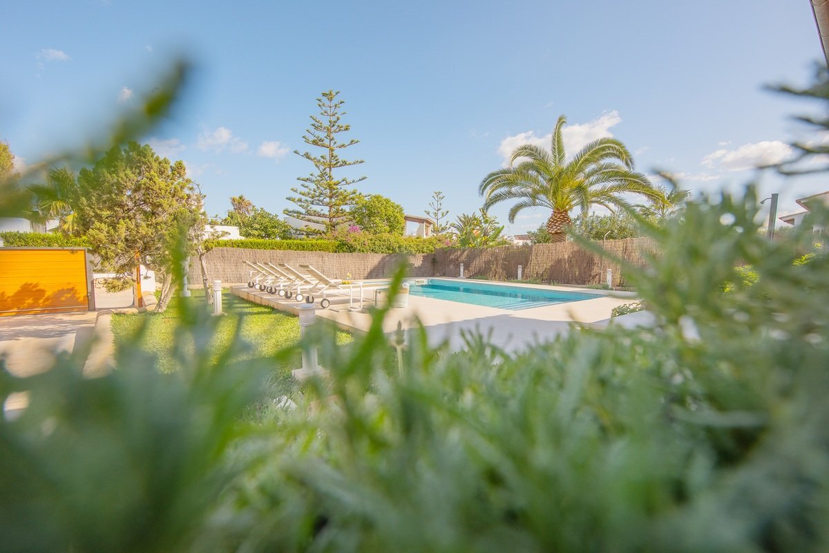 A swimming pool with a palm tree in the background
