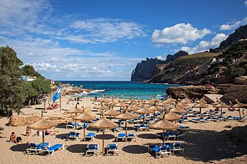 A beach with a lot of chairs and umbrellas