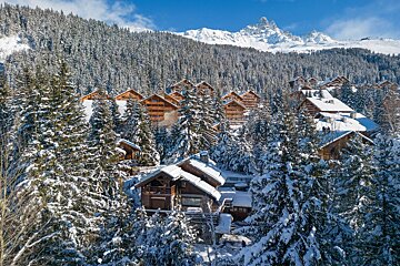 A snowy forest with a mountain in the background