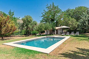 A large swimming pool is surrounded by chairs and trees
