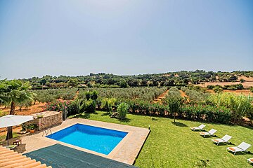 An aerial view of a private pool and green lawn with sun loungers, surrounded by olive groves and rolling hills under a clear blue sky.