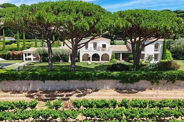 A large white house is surrounded by trees and vines