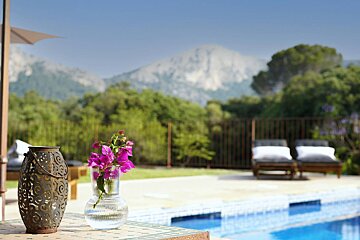 A vase of purple flowers sits on a table next to a pool
