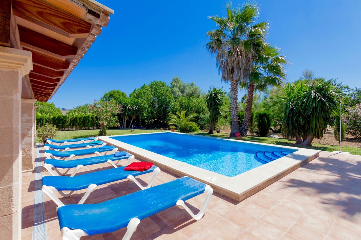 A swimming pool surrounded by palm trees and blue lounge chairs