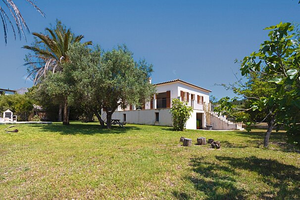 A white house with brown shutters stands in a sunlit green yard with olive and palm trees against a clear blue sky.