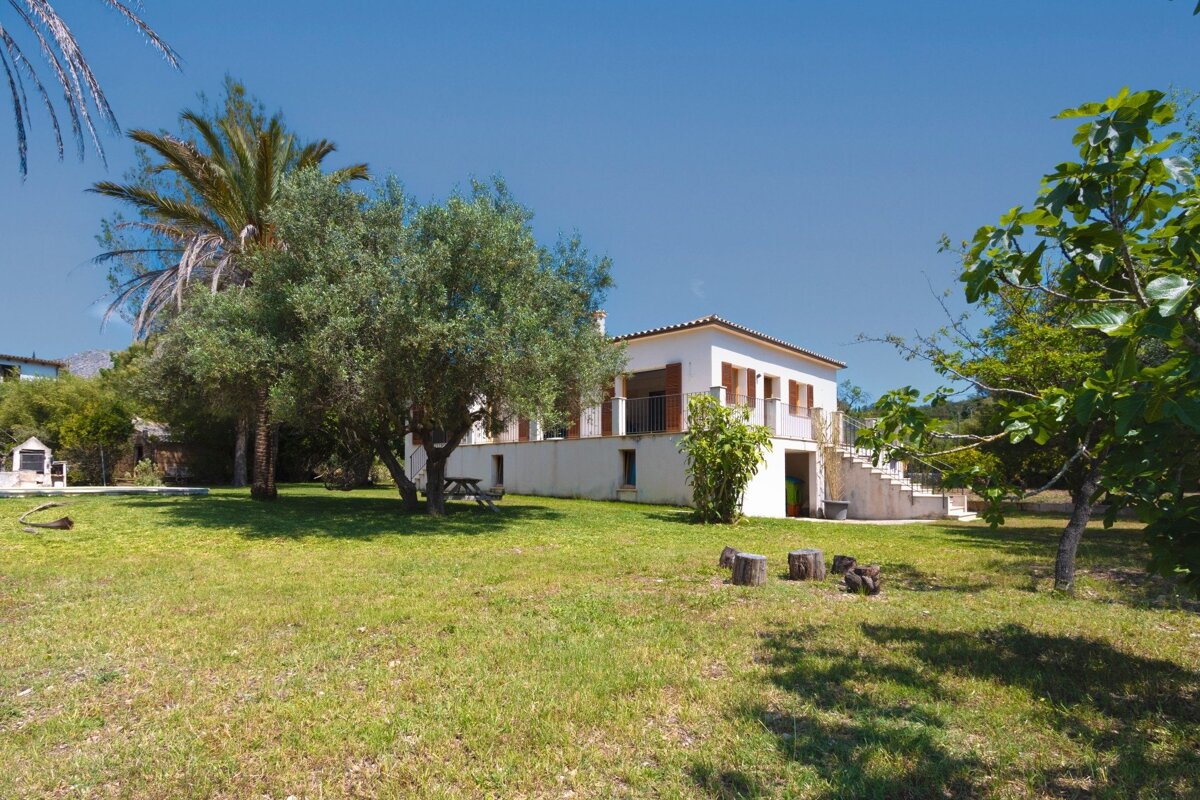 A white house with brown shutters stands in a sunlit green yard with olive and palm trees against a clear blue sky.