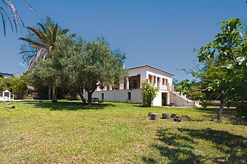 A white house with brown shutters stands in a sunlit green yard with olive and palm trees against a clear blue sky.