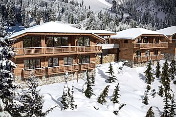 A snowy landscape with a few houses and trees