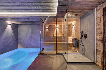 A bathroom with a swimming pool and a shower