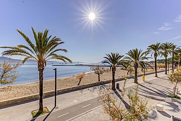 The sun is shining brightly over the beach and palm trees