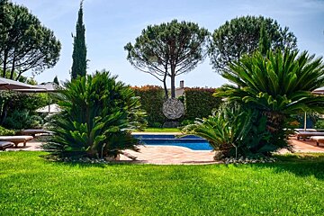 A vibrant green lawn leads to a blue swimming pool framed by lush palm-like plants, tall trees, and a hedge with a modern sculpture.