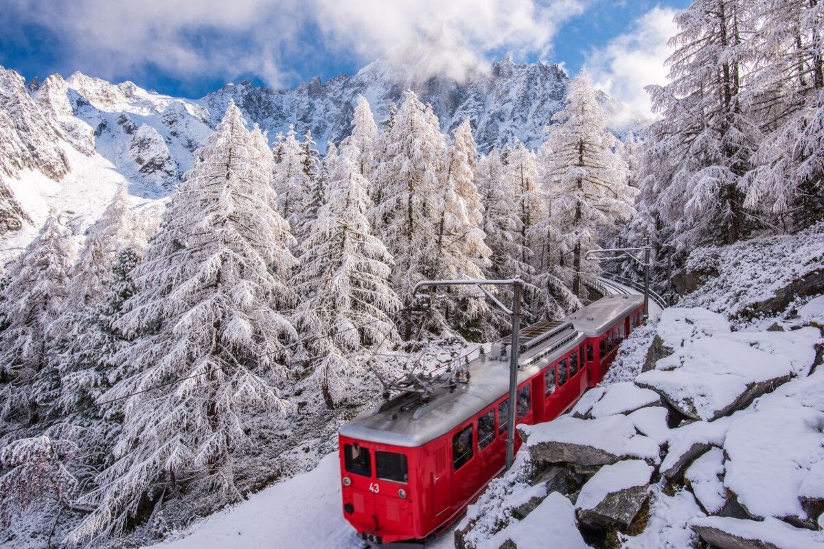 A red train has the number 43 on the front