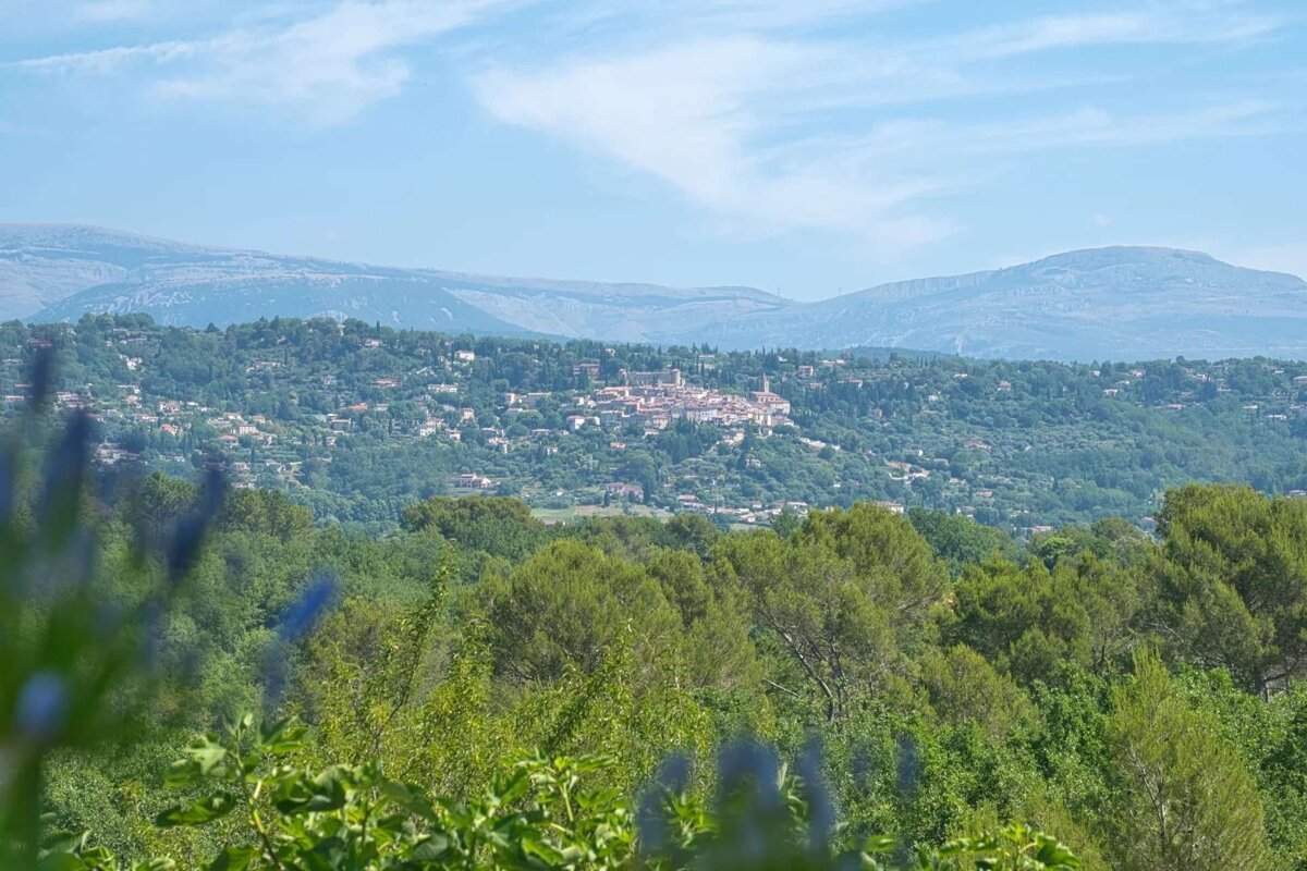 A picturesque hillside village nestled among green forests and distant mountains under a blue sky, with blurred green foliage in the foreground.