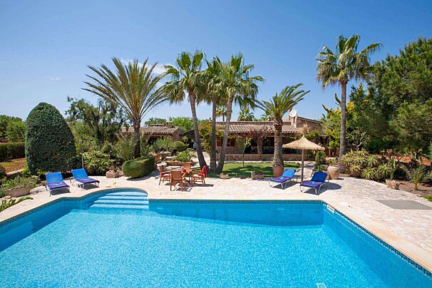 A large swimming pool surrounded by palm trees and chairs