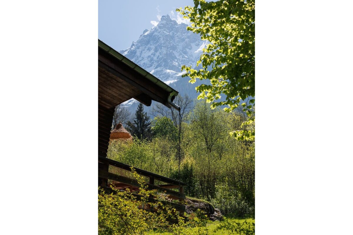 A view of a mountain from a cabin in the woods
