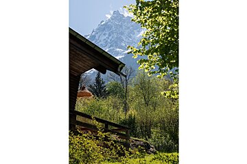 A view of a mountain from a cabin in the woods