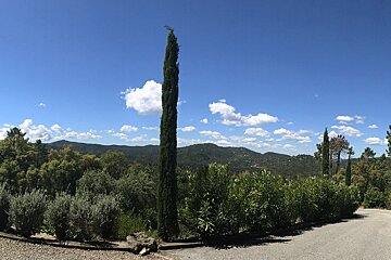 A row of trees along a road with mountains in the background