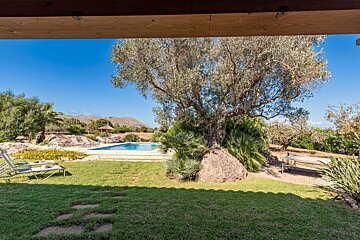 A lush green lawn with a swimming pool in the background