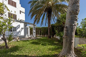 A white house with a palm tree in front of it