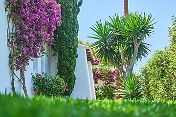 A white building with purple flowers and palm trees